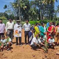 Plantation