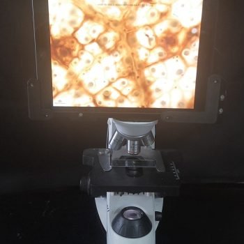 Portable digital microscope Portable digital microscope